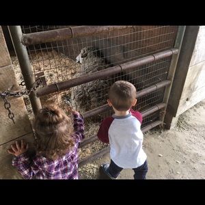 Meet your Posher, Allison